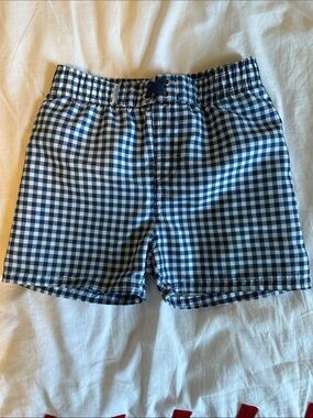 Rugged Butts Blue and White Gingham Swim Shorts